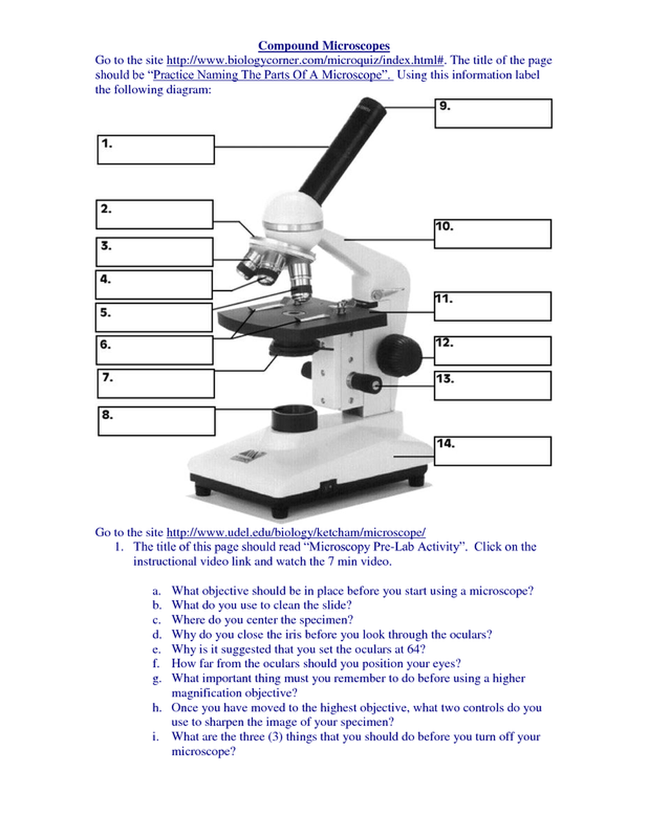 microscope-ms-a-science-online-www-msascienceonline-weebly